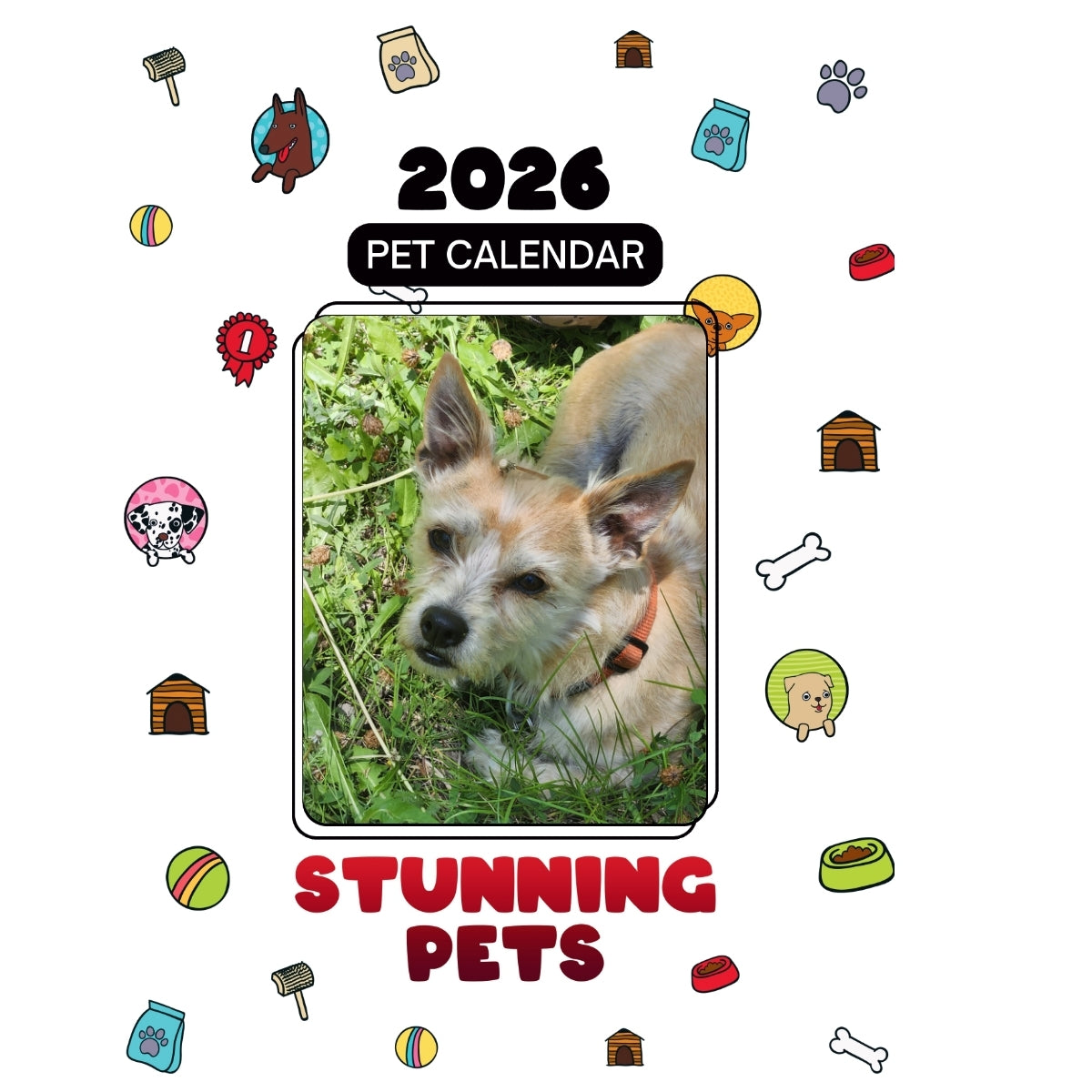 1 Headlines Stunning Pets: A 2026 Pet Calendar