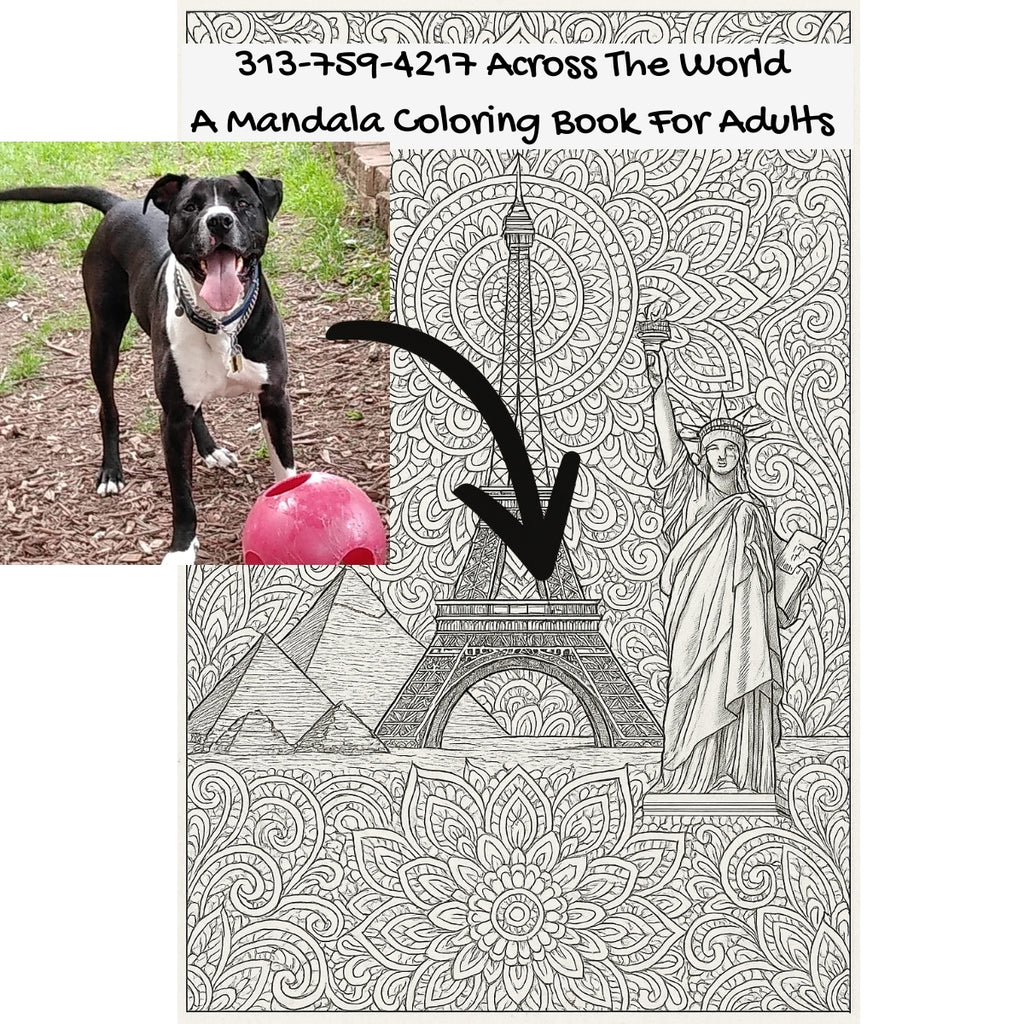 313-759-4217 Across The World: A Mandala Coloring Book For Adults