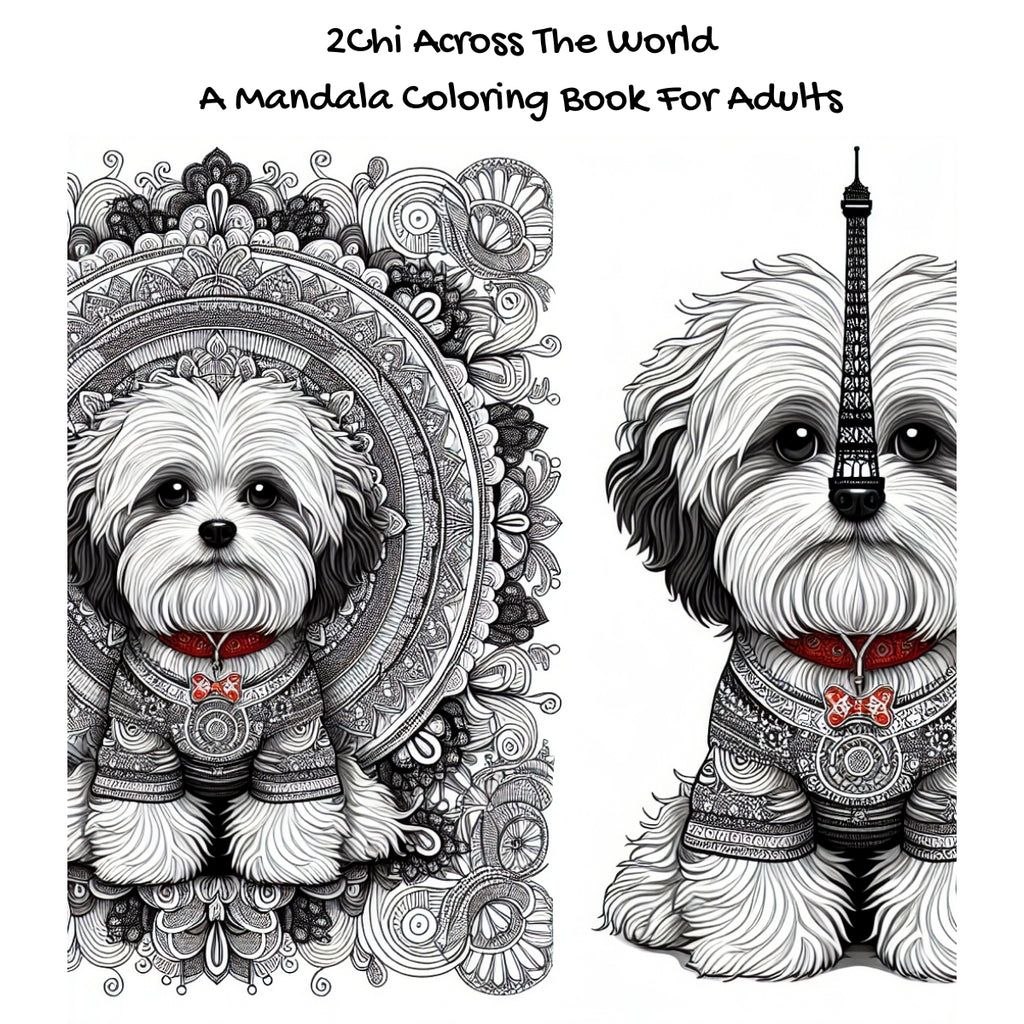 2Chi Across The Globe: A Mandala Coloring Book For Adults