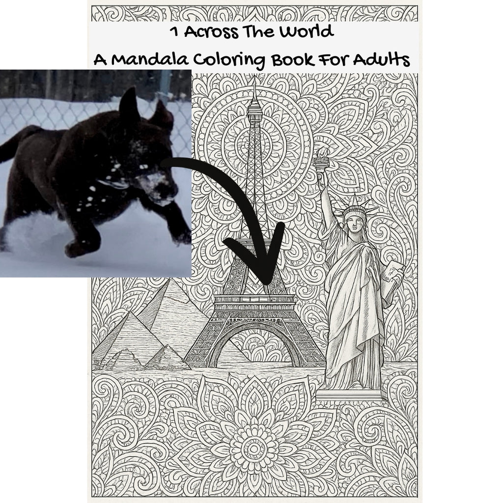 1 Across The World: A Mandala Coloring Book For Adults