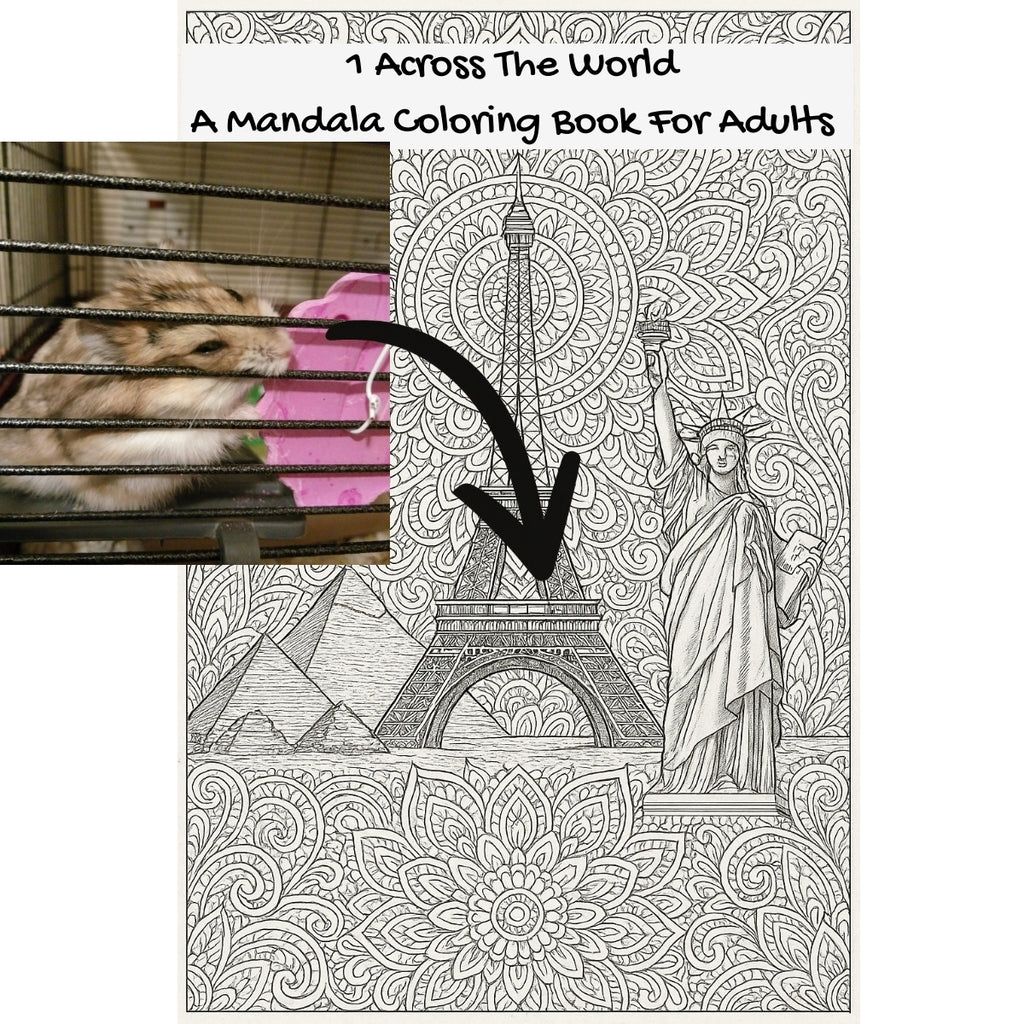 1 Across The World: A Mandala Coloring Book For Adults