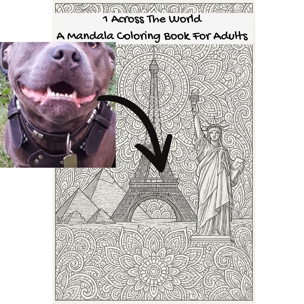 1 Across The World: A Mandala Coloring Book For Adults