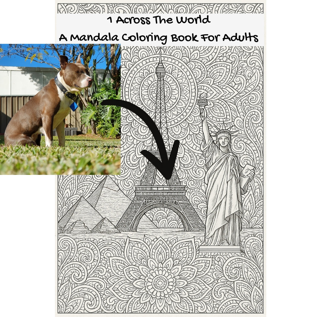 1 Across The World: A Mandala Coloring Book For Adults