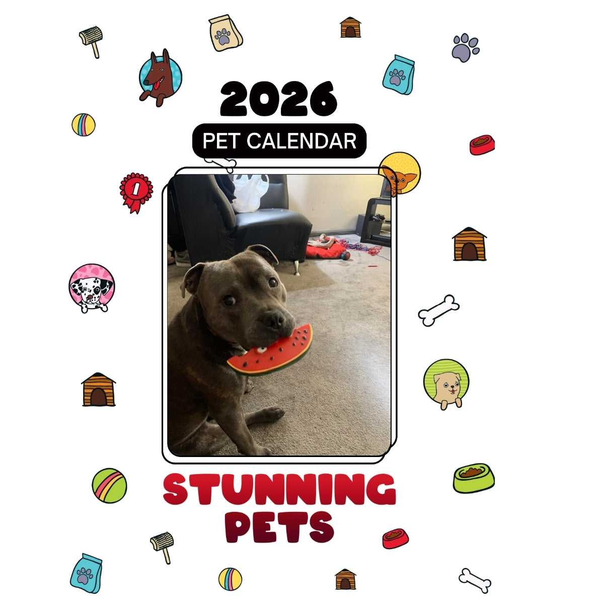 1 Headlines Stunning Pets: A 2026 Pet Calendar
