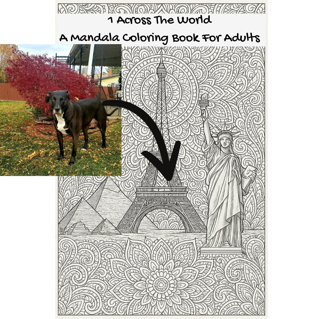 1 Across The World: A Mandala Coloring Book For Adults