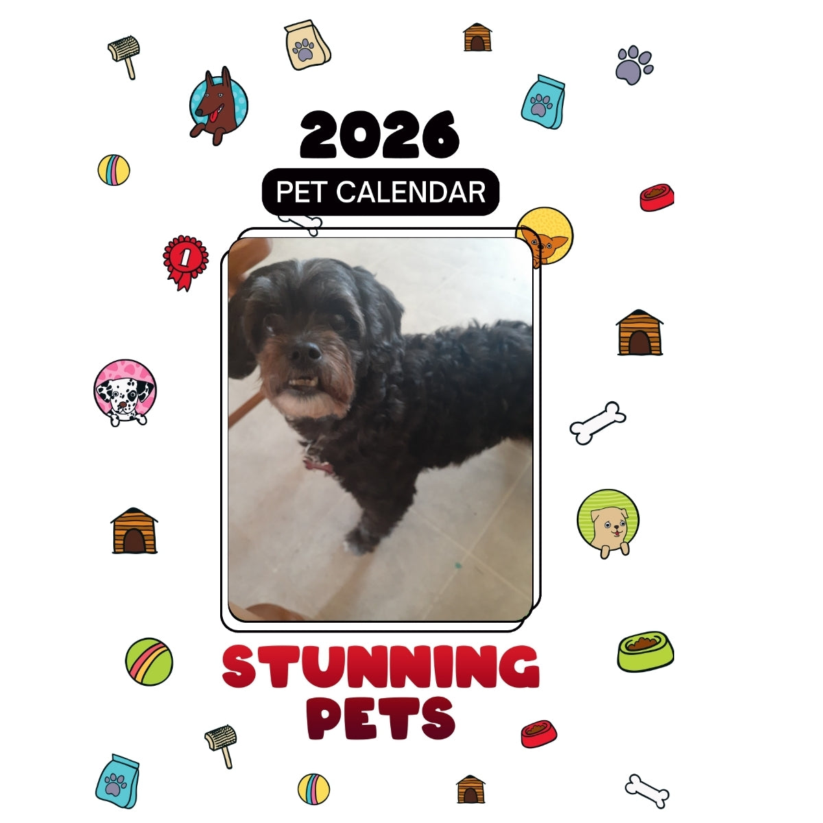 1 Headlines Stunning Pets: A 2026 Pet Calendar