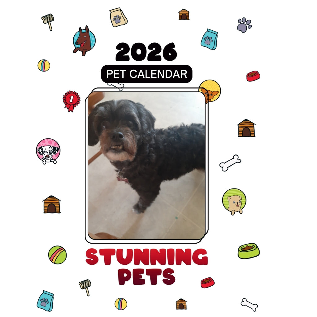 1 Headlines Stunning Pets: A 2026 Pet Calendar