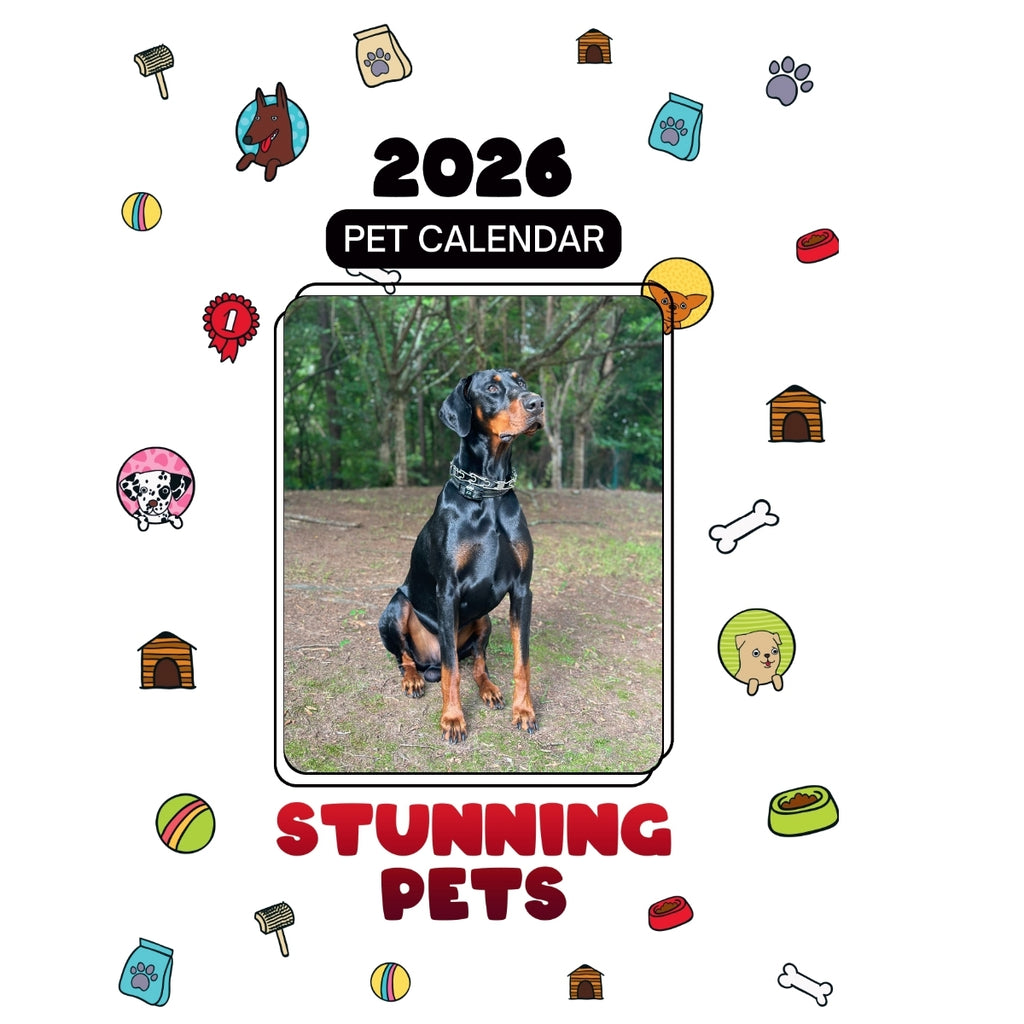 Doberman Pinscher Headlines Stunning Pets: A 2026 Pet Calendar