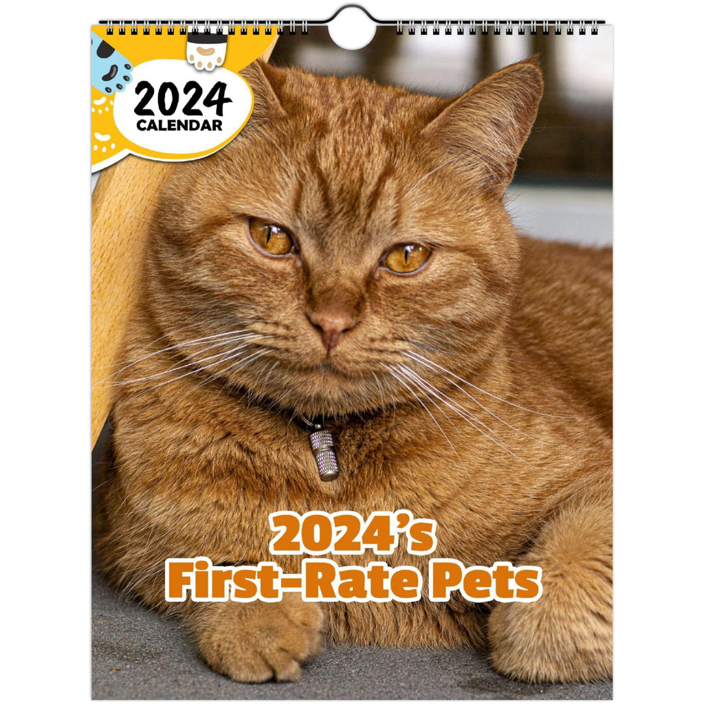 2024's First-Rate Pets: 2024 Wall Calendar (Published)
