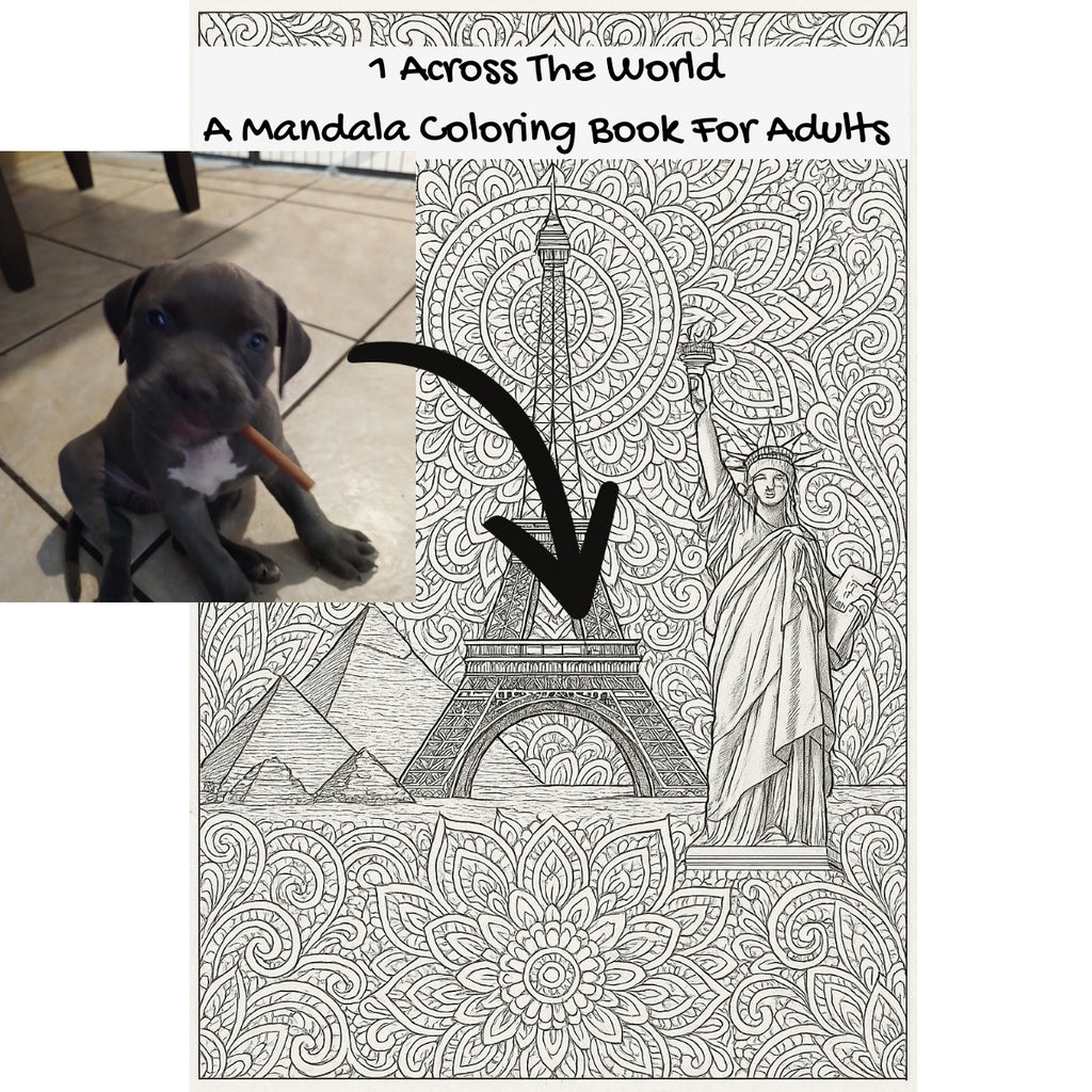 1 Across The World: A Mandala Coloring Book For Adults
