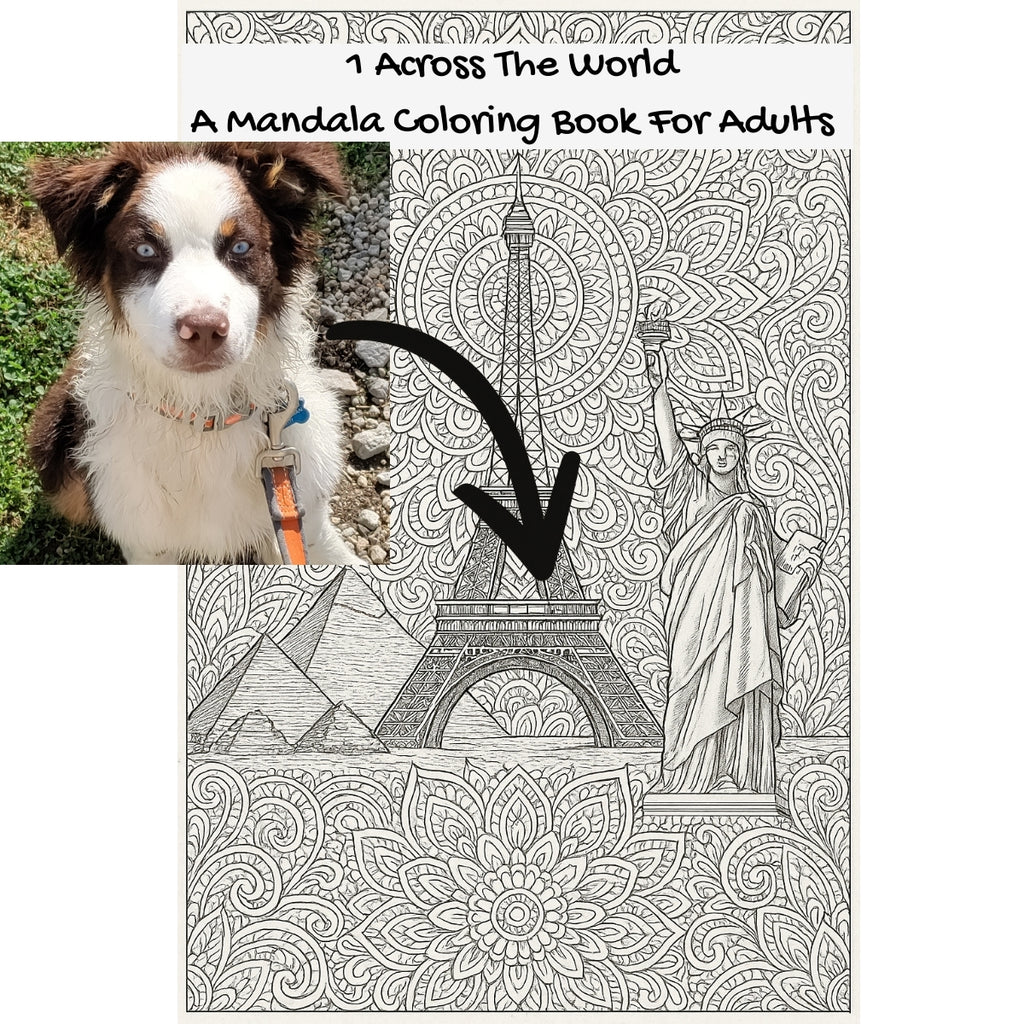 1 Across The World: A Mandala Coloring Book For Adults