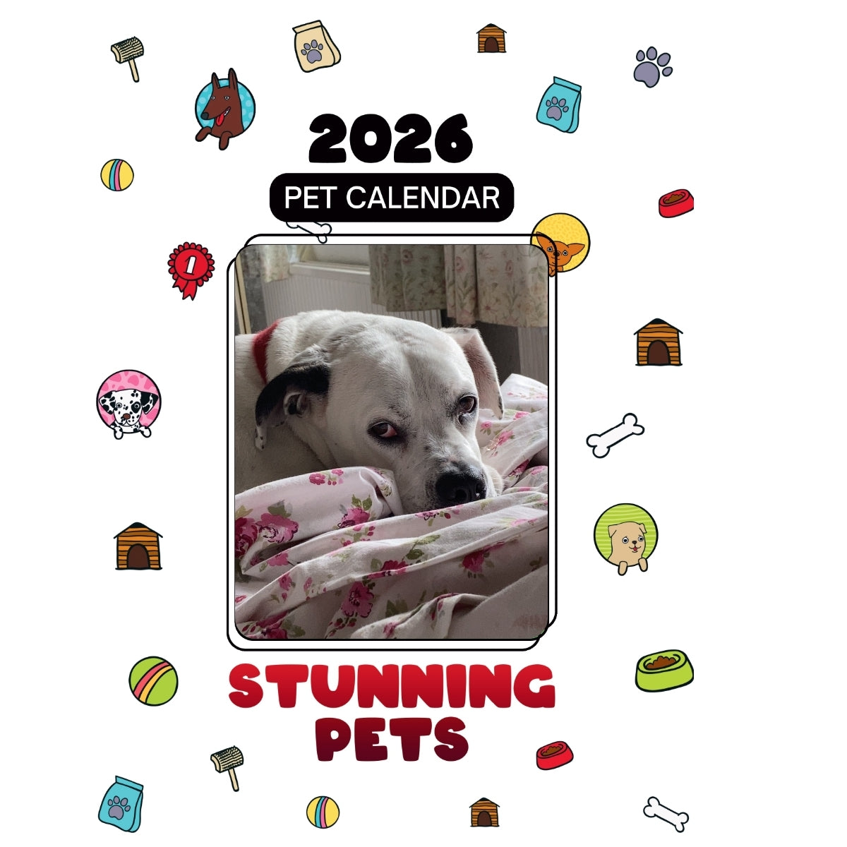 1 Headlines Stunning Pets: A 2026 Pet Calendar