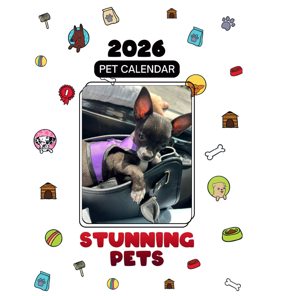 (Micro) Chip Headlines Stunning Pets: A 2026 Pet Calendar