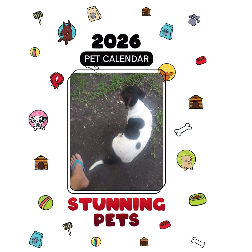 8-Ball Headlines Stunning Pets: A 2026 Pet Calendar