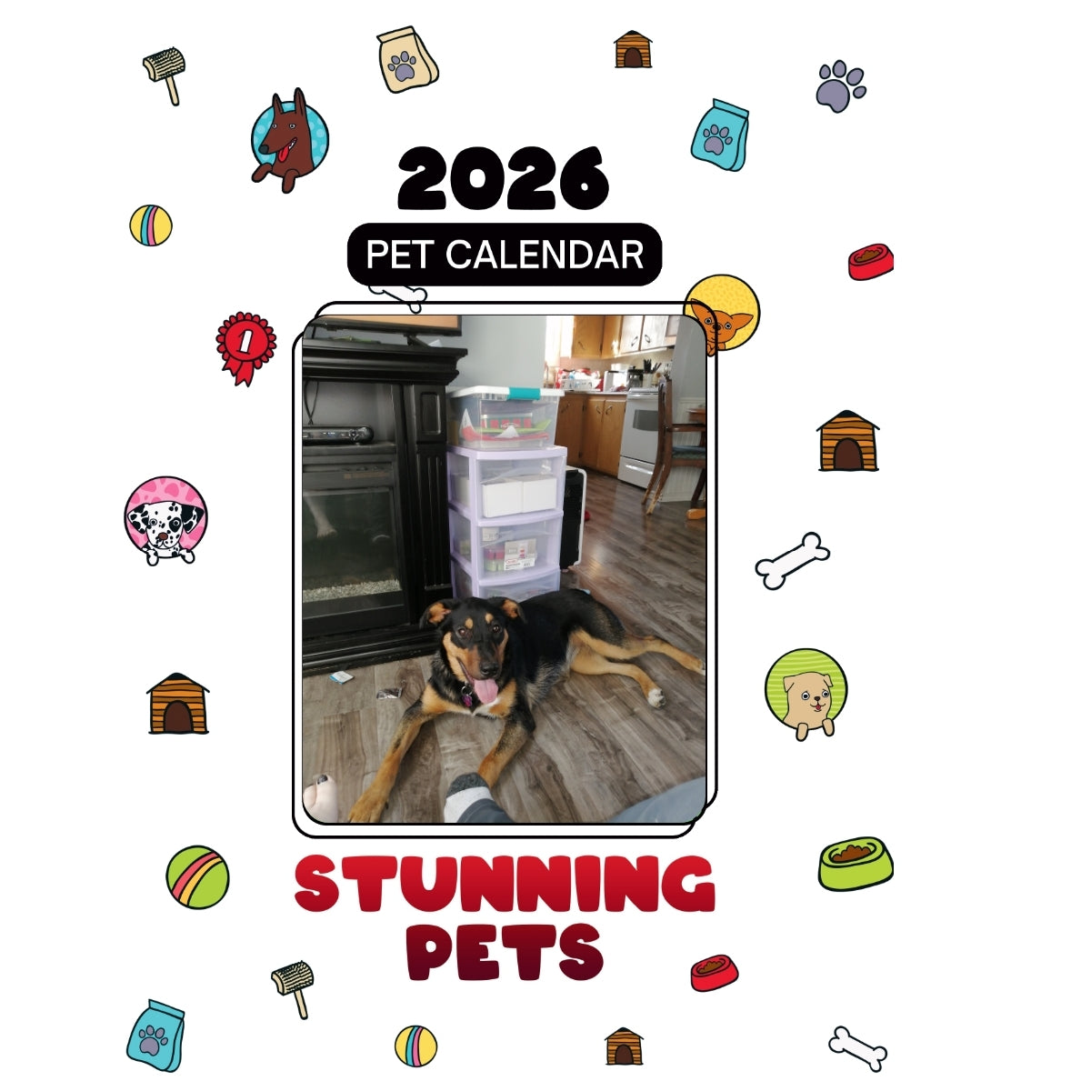 1 Headlines Stunning Pets: A 2026 Pet Calendar