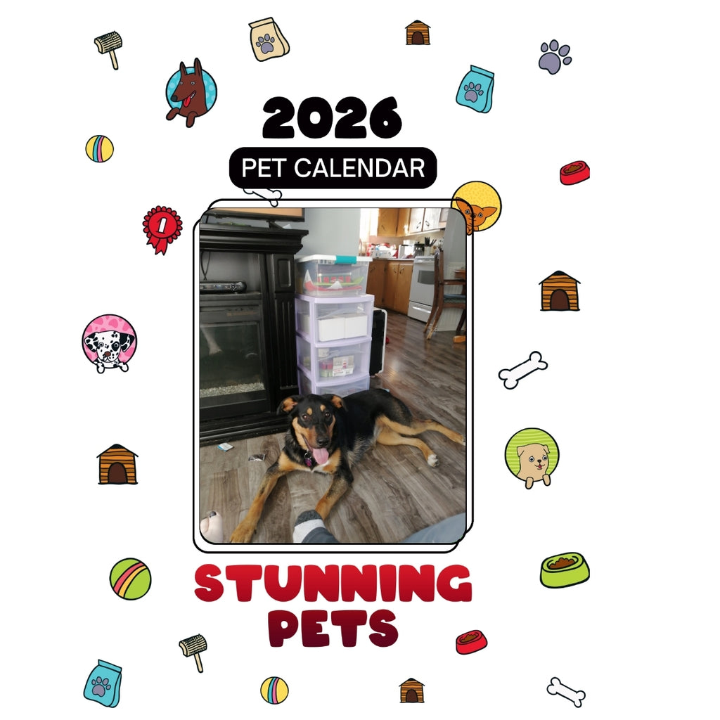 1 Headlines Stunning Pets: A 2026 Pet Calendar