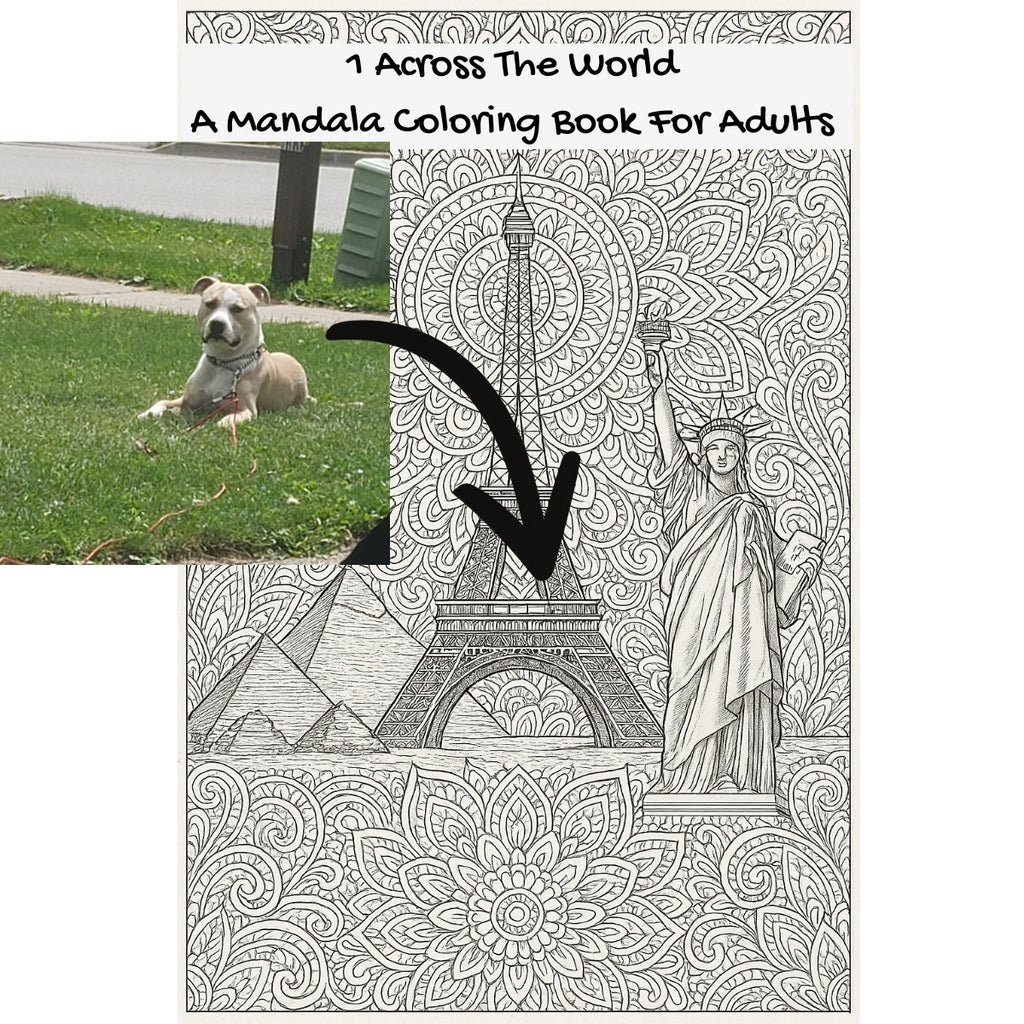 1 Across The World: A Mandala Coloring Book For Adults