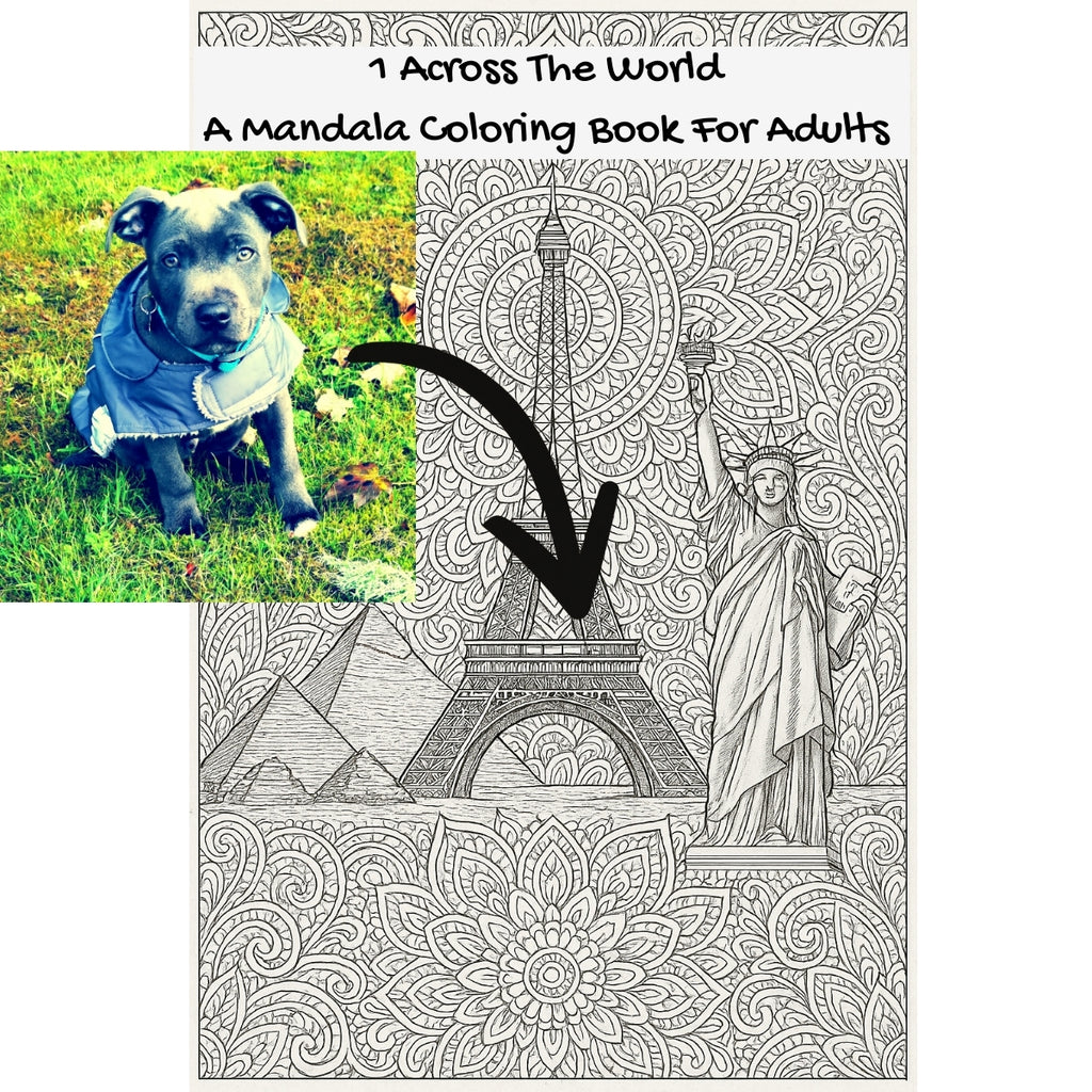 1 Across The World: A Mandala Coloring Book For Adults