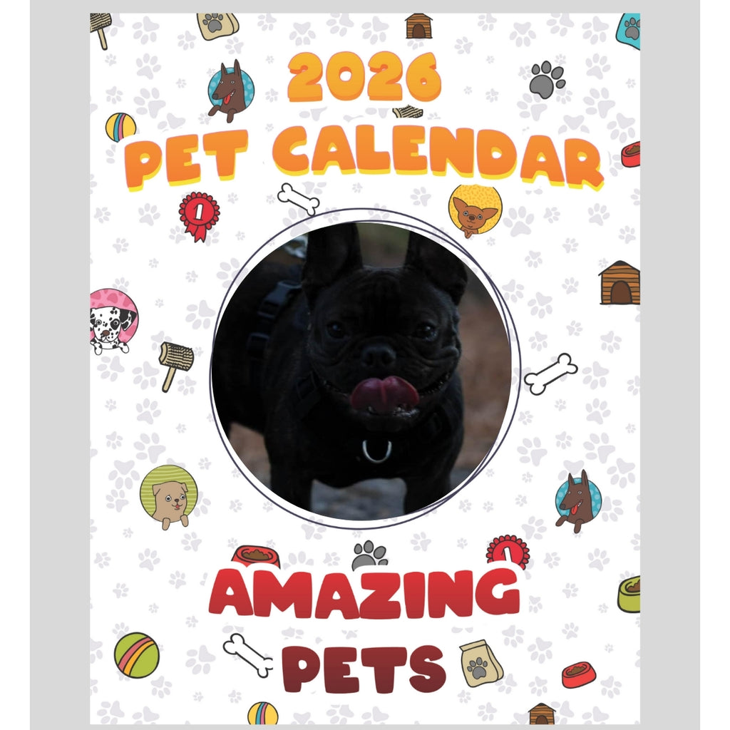 French bulldog Stars in Stunning Pets: A 2026 Pet Calendar