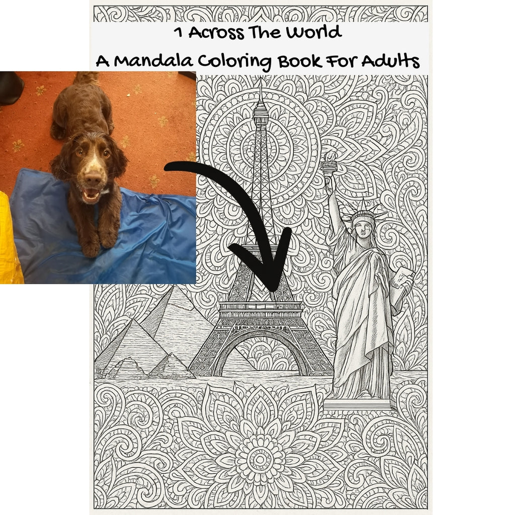1 Across The World: A Mandala Coloring Book For Adults