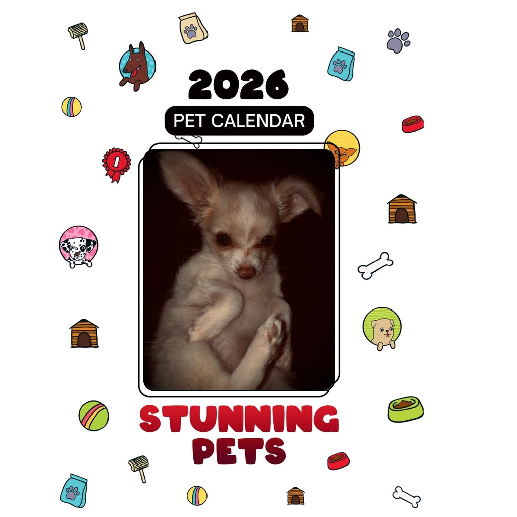 1 Headlines Stunning Pets: A 2026 Pet Calendar