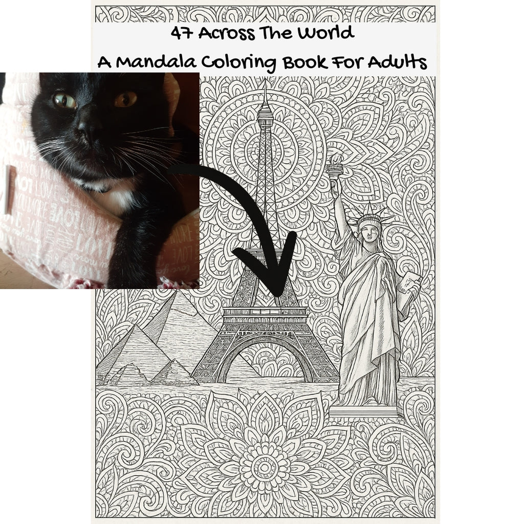 47 Across The World: A Mandala Coloring Book For Adults