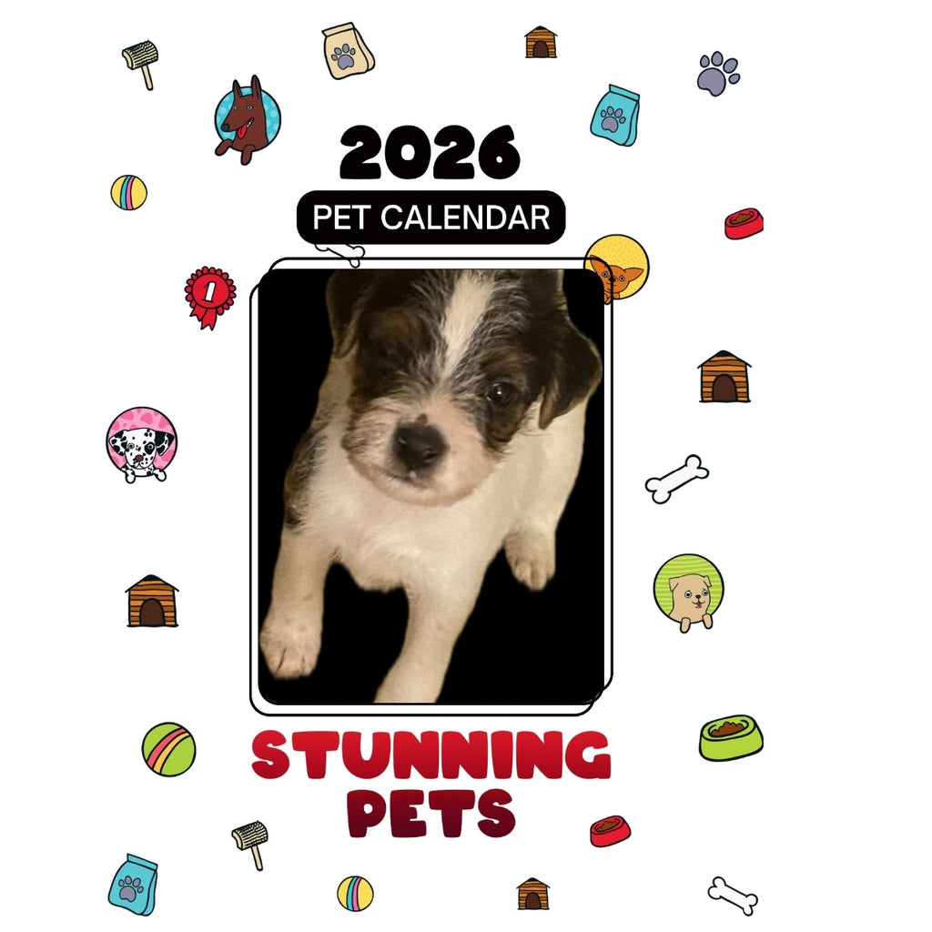 2Pac Headlines Stunning Pets: A 2026 Pet Calendar