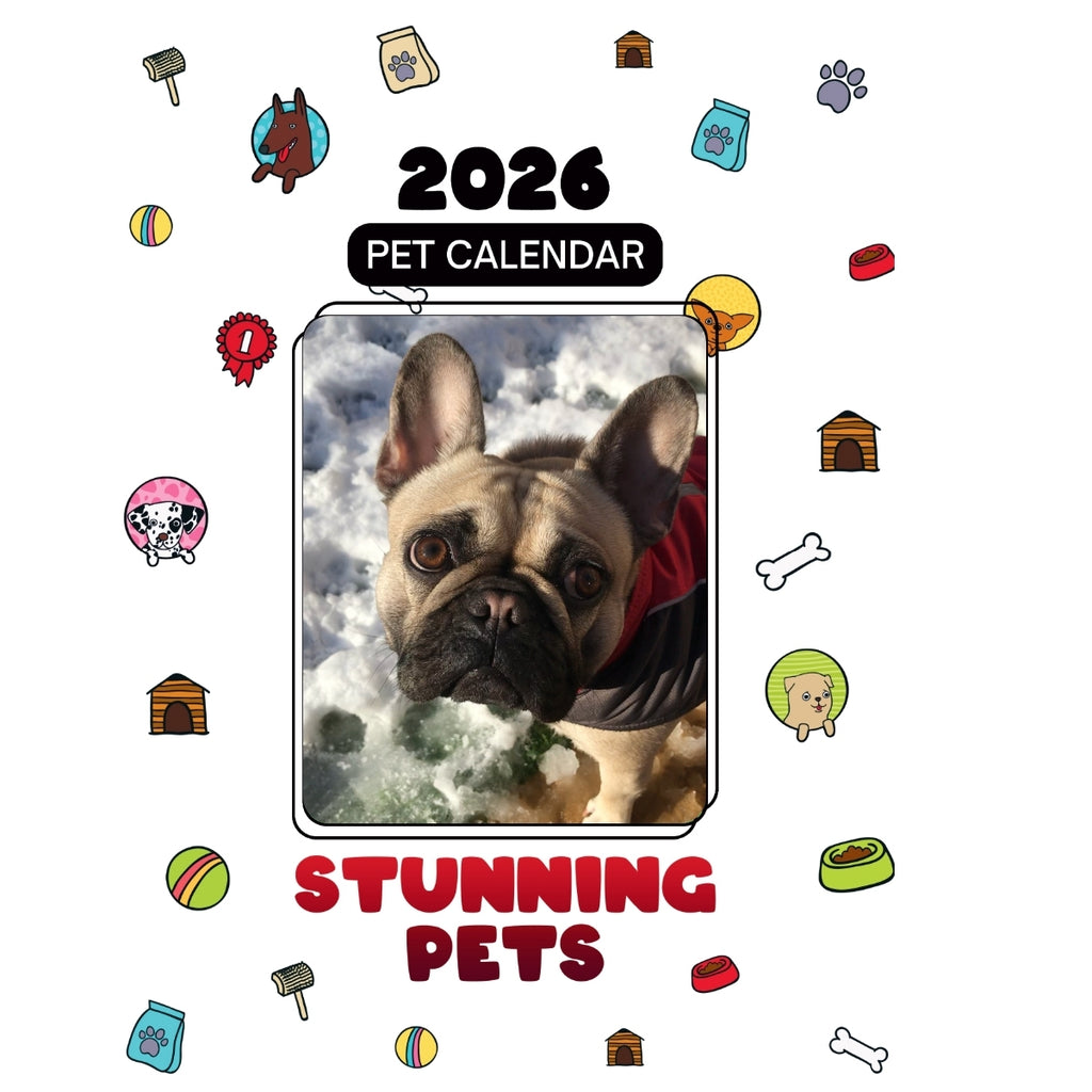 French Bulldog Headlines Stunning Pets: A 2026 Pet Calendar