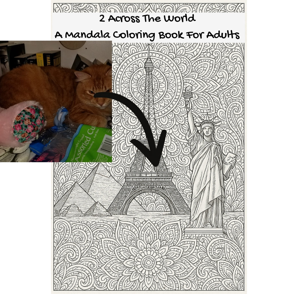 2 Across The World: A Mandala Coloring Book For Adults