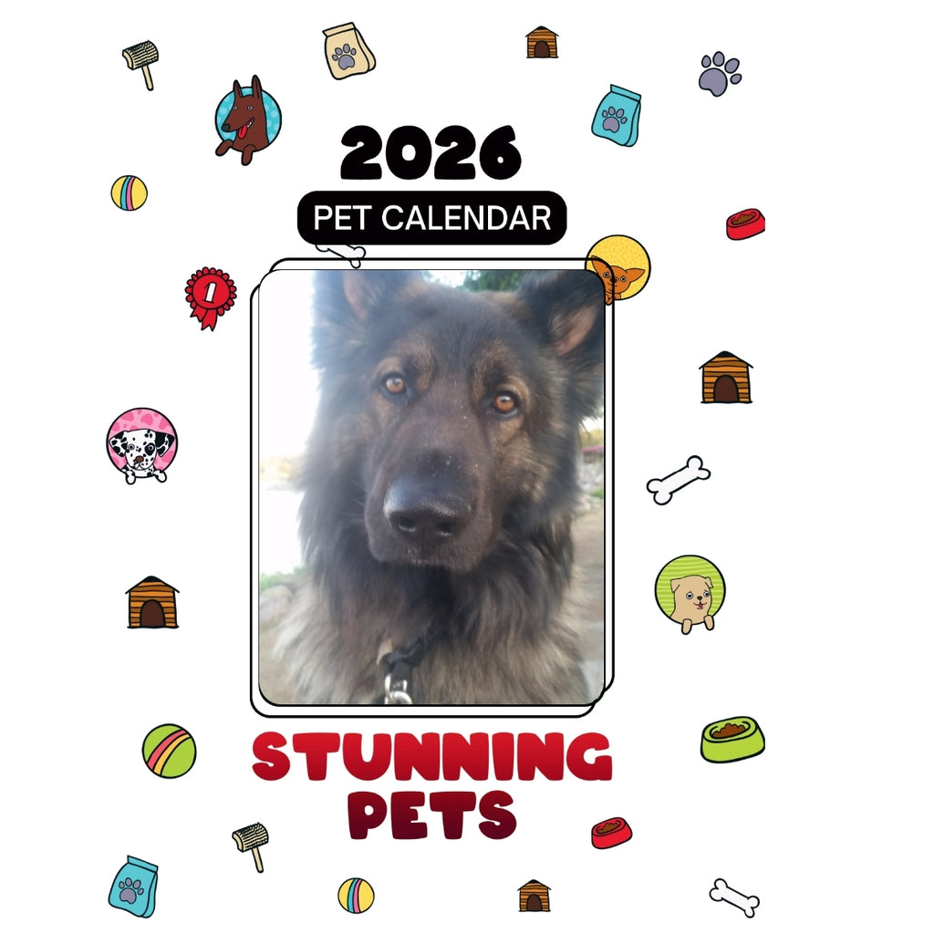 1 Headlines Stunning Pets: A 2026 Pet Calendar
