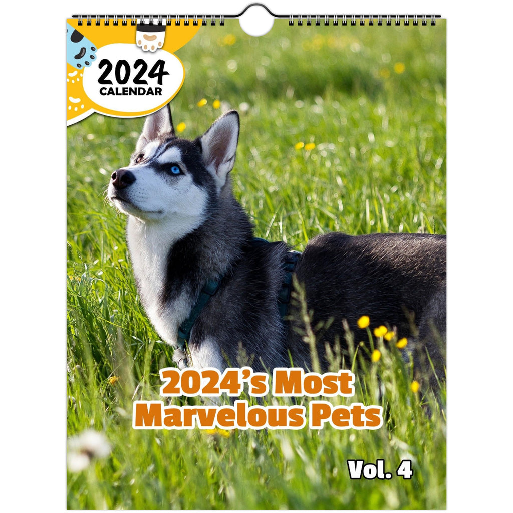 2024's Most Marvelous Pets Volume Four: 2024 Wall Calendar (Published)