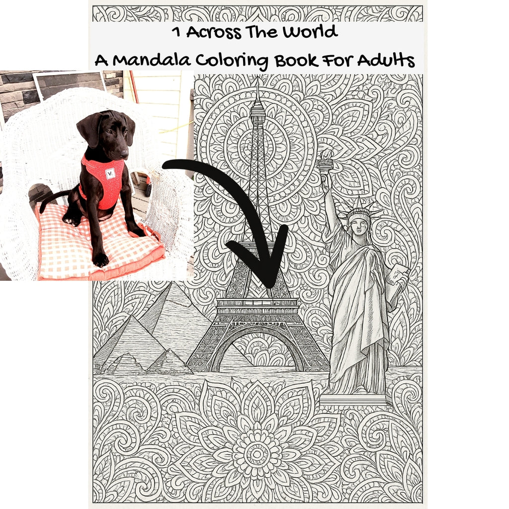1 Across The World: A Mandala Coloring Book For Adults