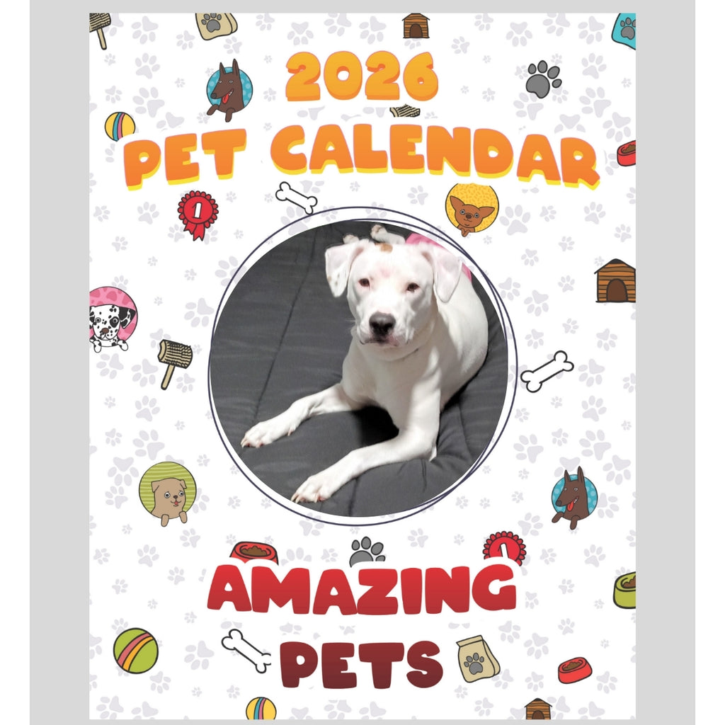 Pigeon Stars in Stunning Pets: A 2026 Pet Calendar