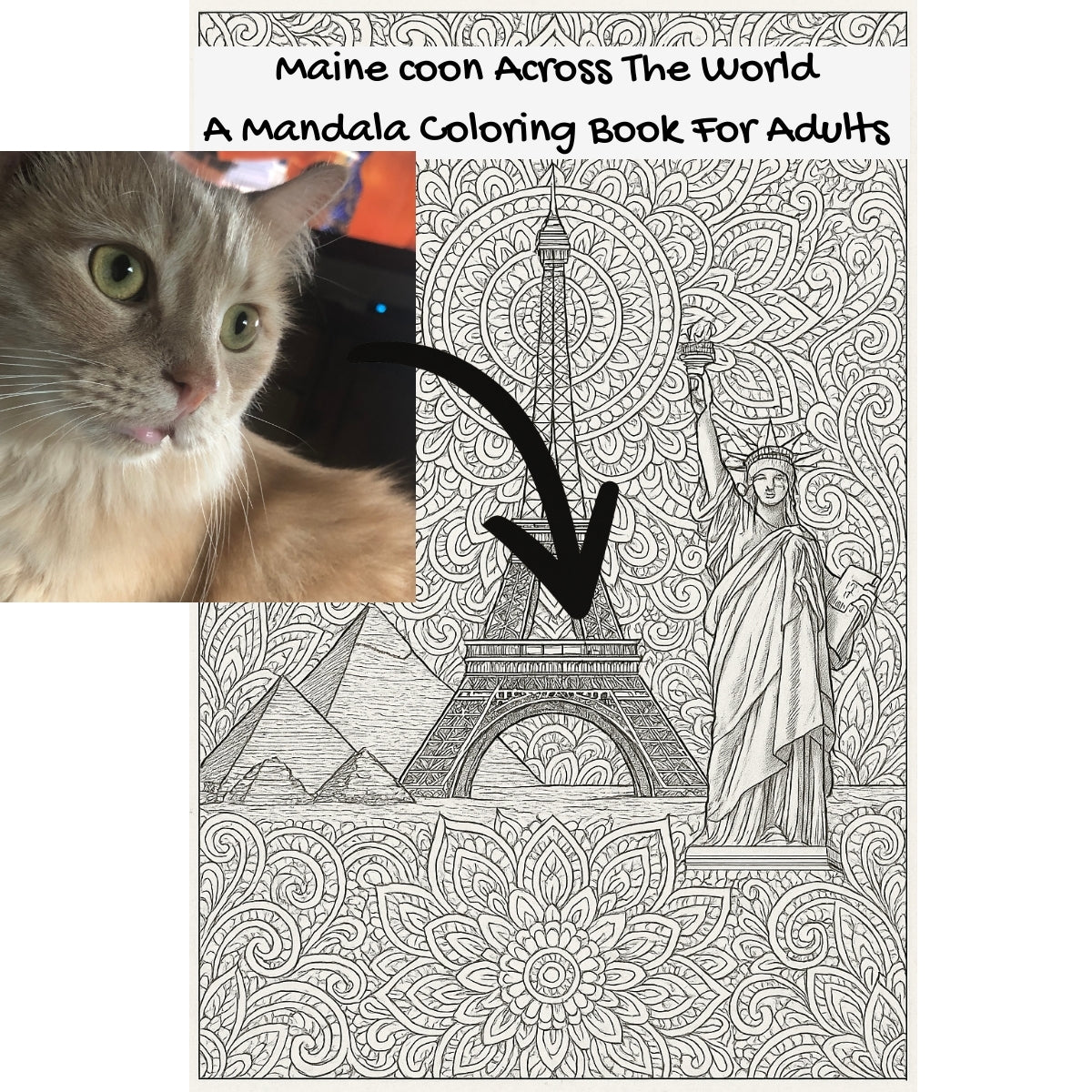 Maine coon Across The World: A Mandala Coloring Book For Adults