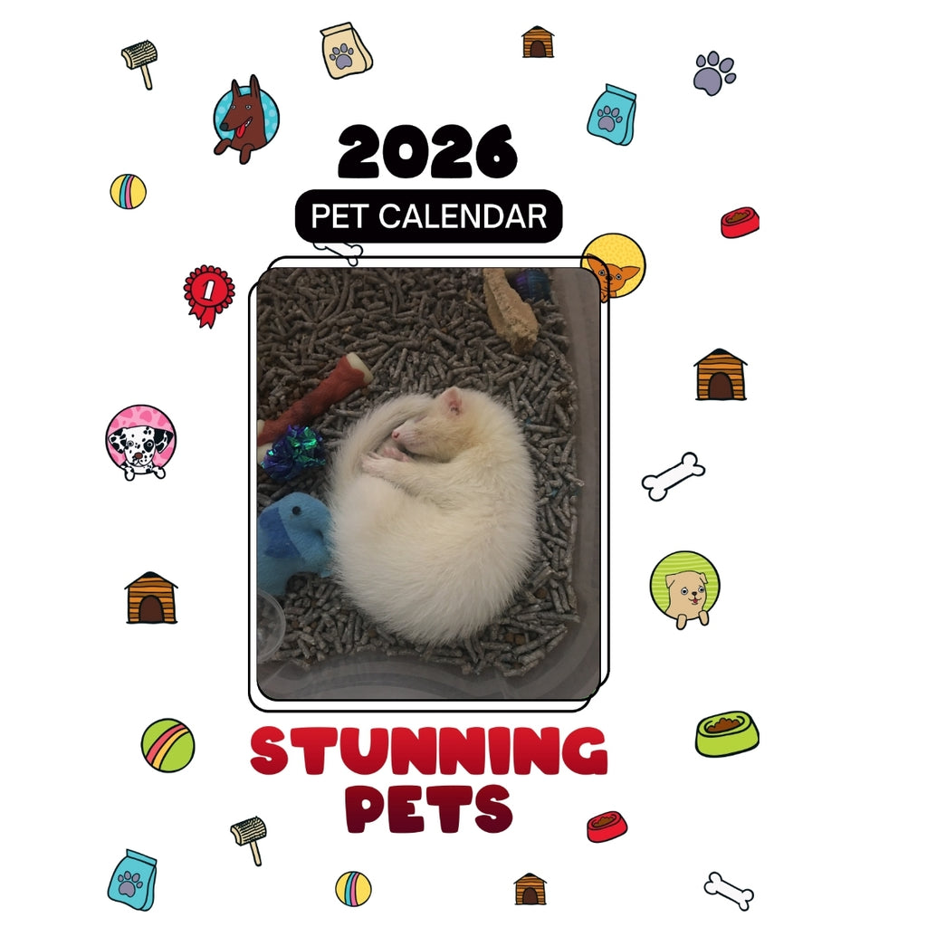 Ferret Bueller Headlines Stunning Pets: A 2026 Pet Calendar