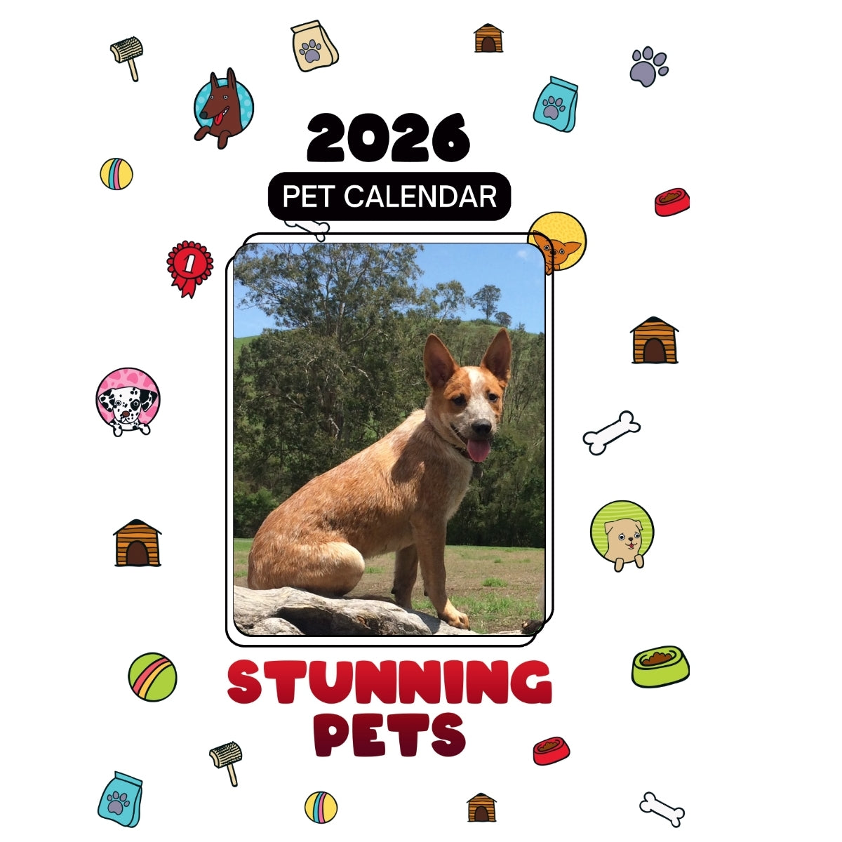 1 Headlines Stunning Pets: A 2026 Pet Calendar