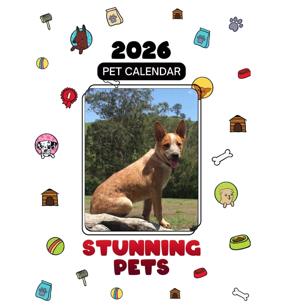 1 Headlines Stunning Pets: A 2026 Pet Calendar