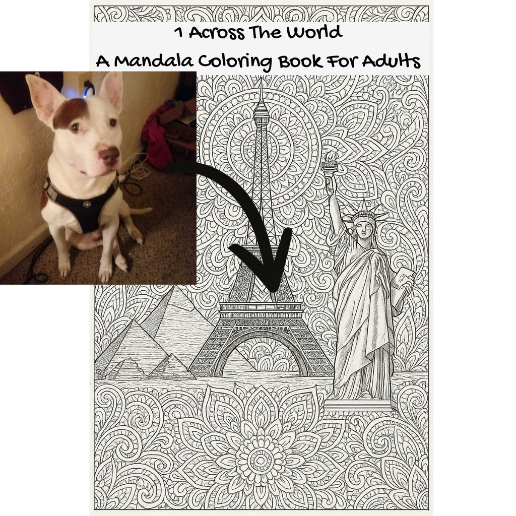 1 Across The World: A Mandala Coloring Book For Adults