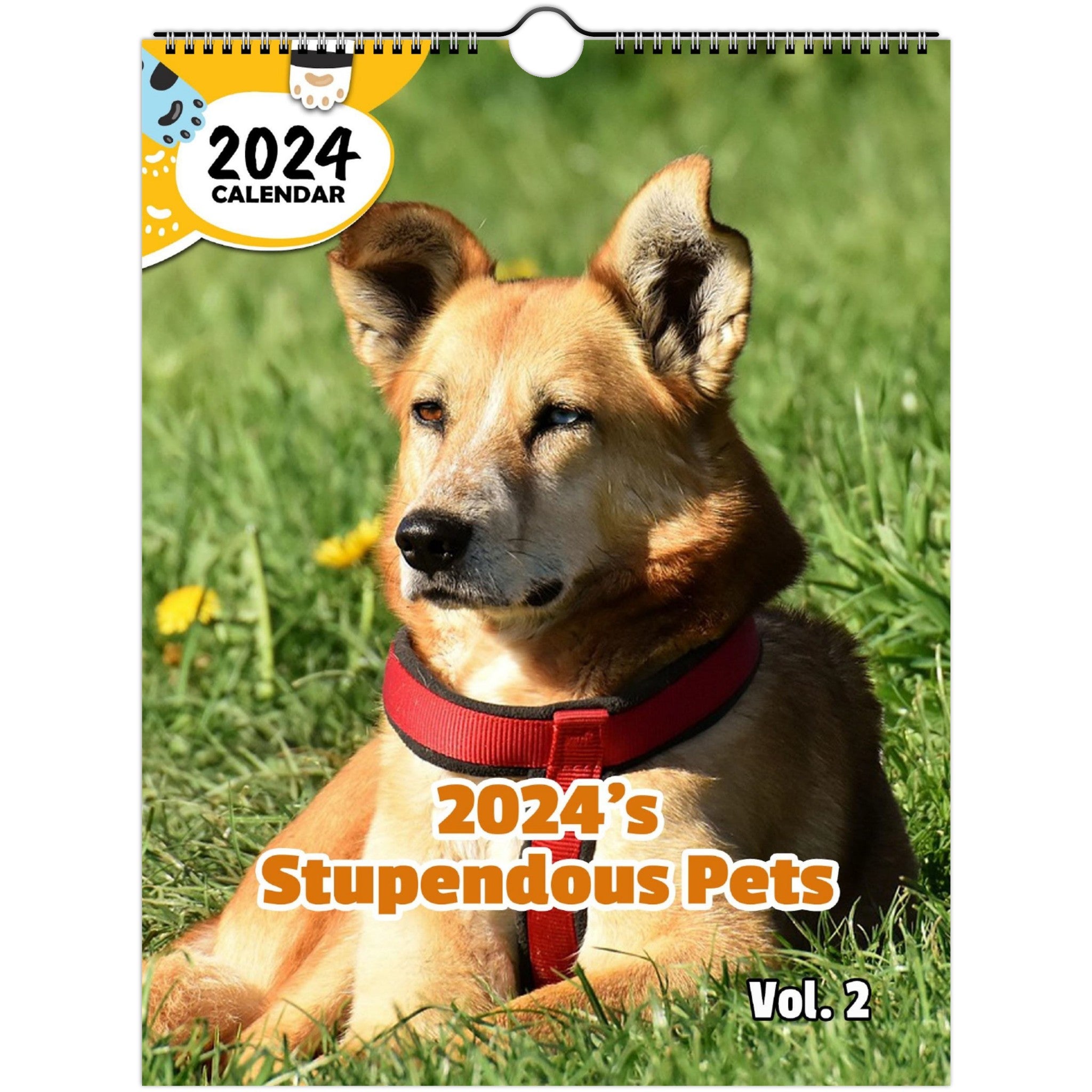 2024's Stupendous Pets Volume Two: 2024 Wall Calendar (Published)
