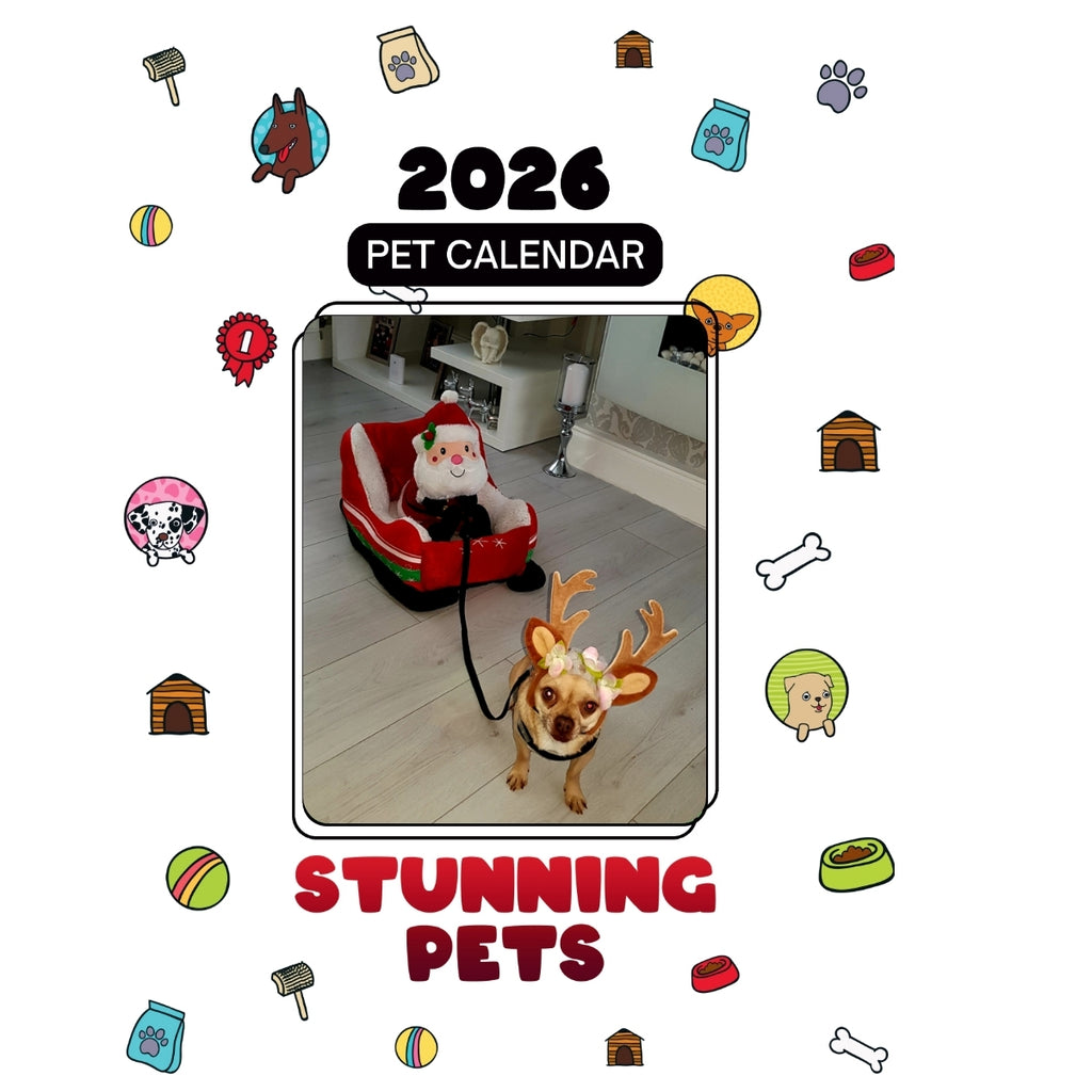 1 Headlines Stunning Pets: A 2026 Pet Calendar