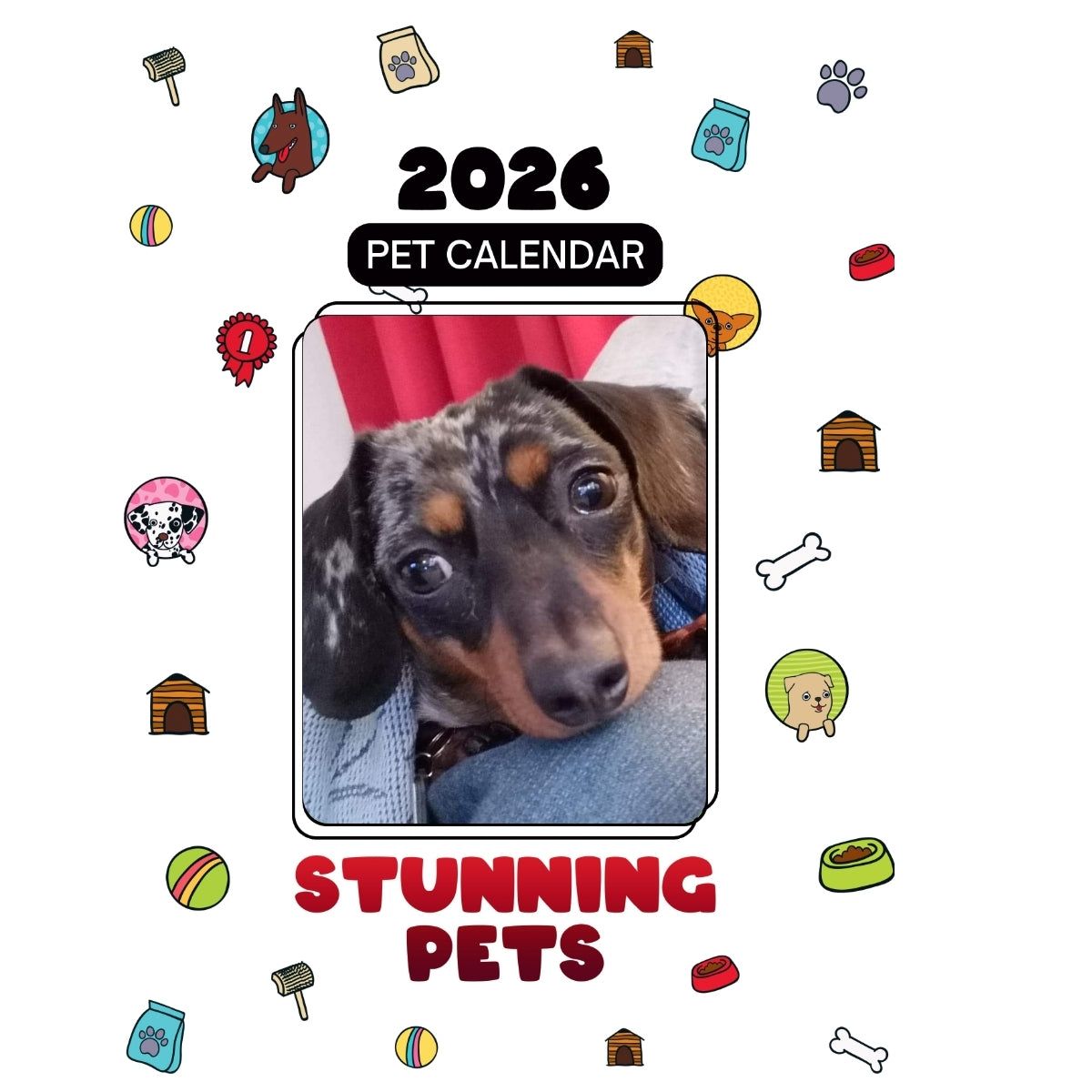 1 Headlines Stunning Pets: A 2026 Pet Calendar