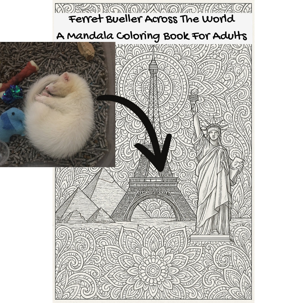 Ferret Bueller Across The World: A Mandala Coloring Book For Adults
