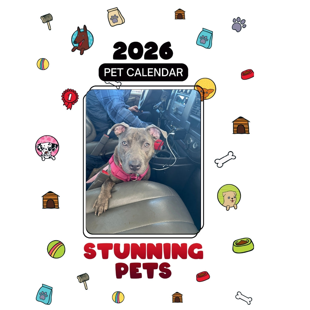 4 O’Clock Headlines Stunning Pets: A 2026 Pet Calendar