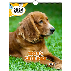2024's Cute Pets Volume Nine: 2024 Wall Calendar (Published)