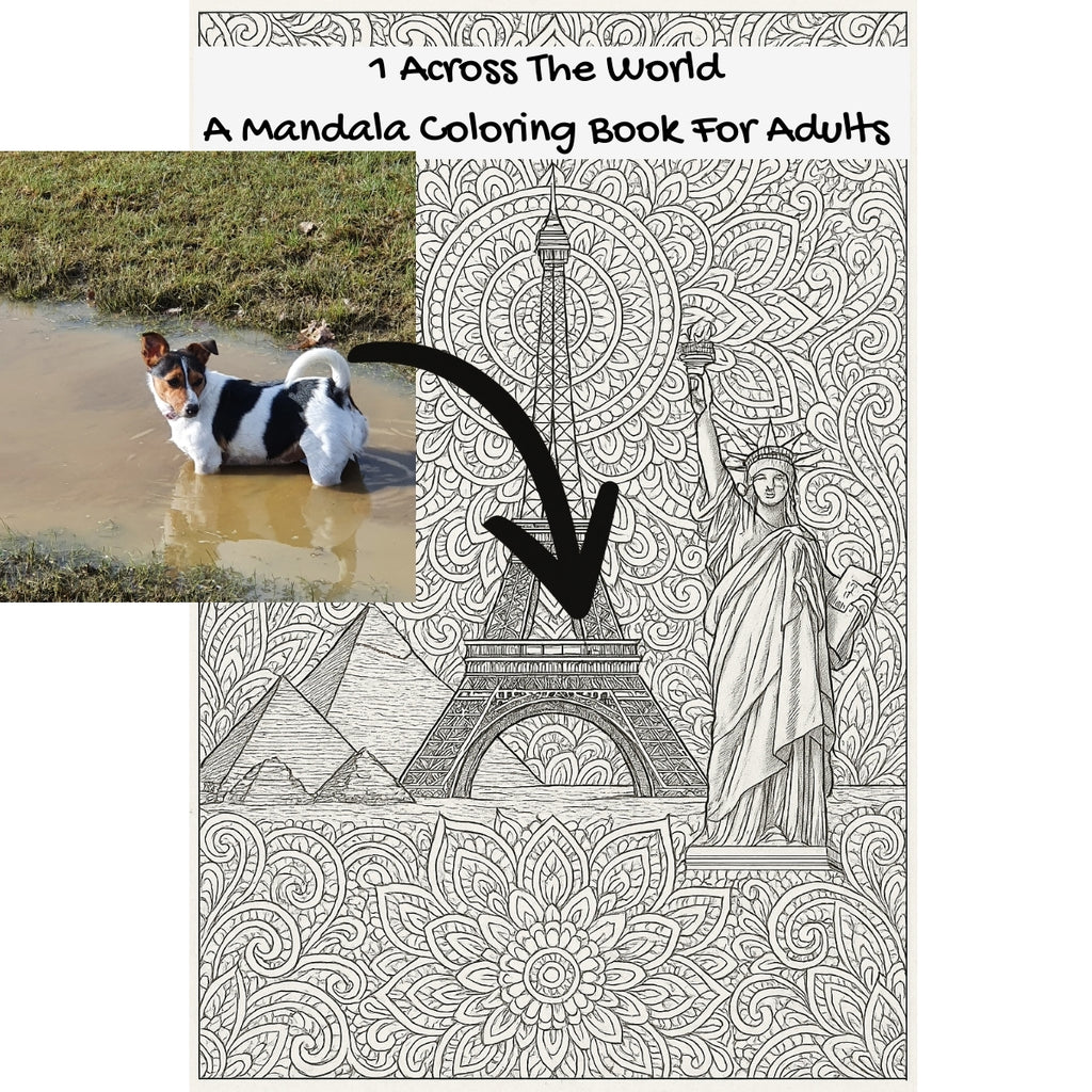 1 Across The World: A Mandala Coloring Book For Adults