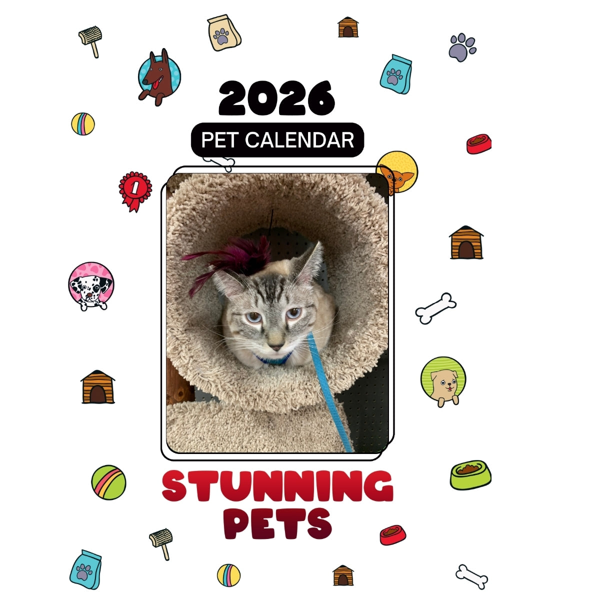Queso Headlines Stunning Pets: A 2026 Pet Calendar