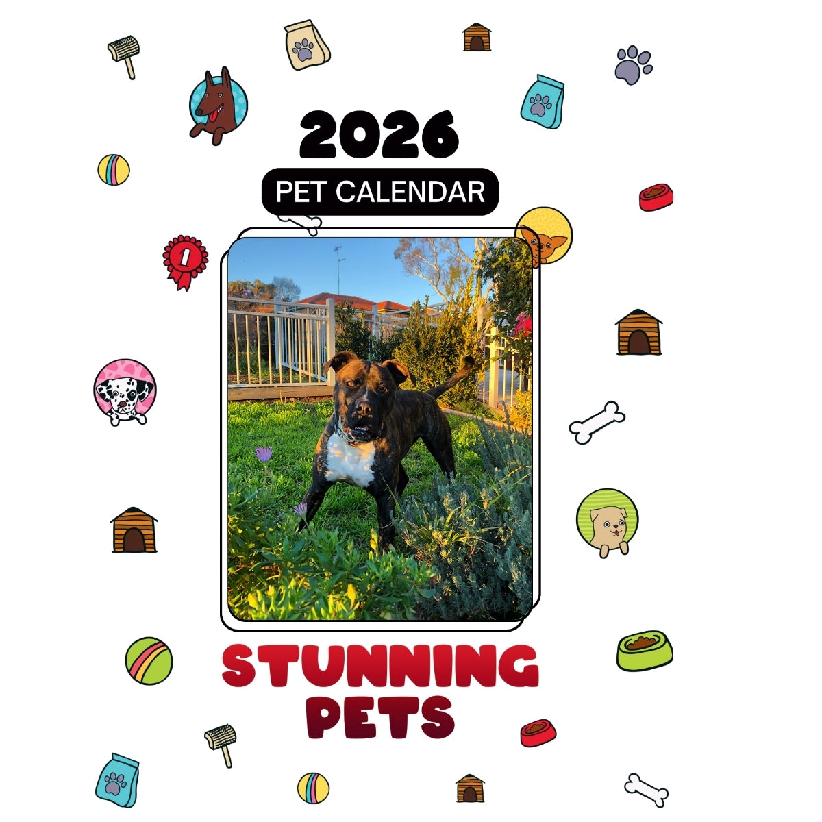 1 Headlines Stunning Pets: A 2026 Pet Calendar