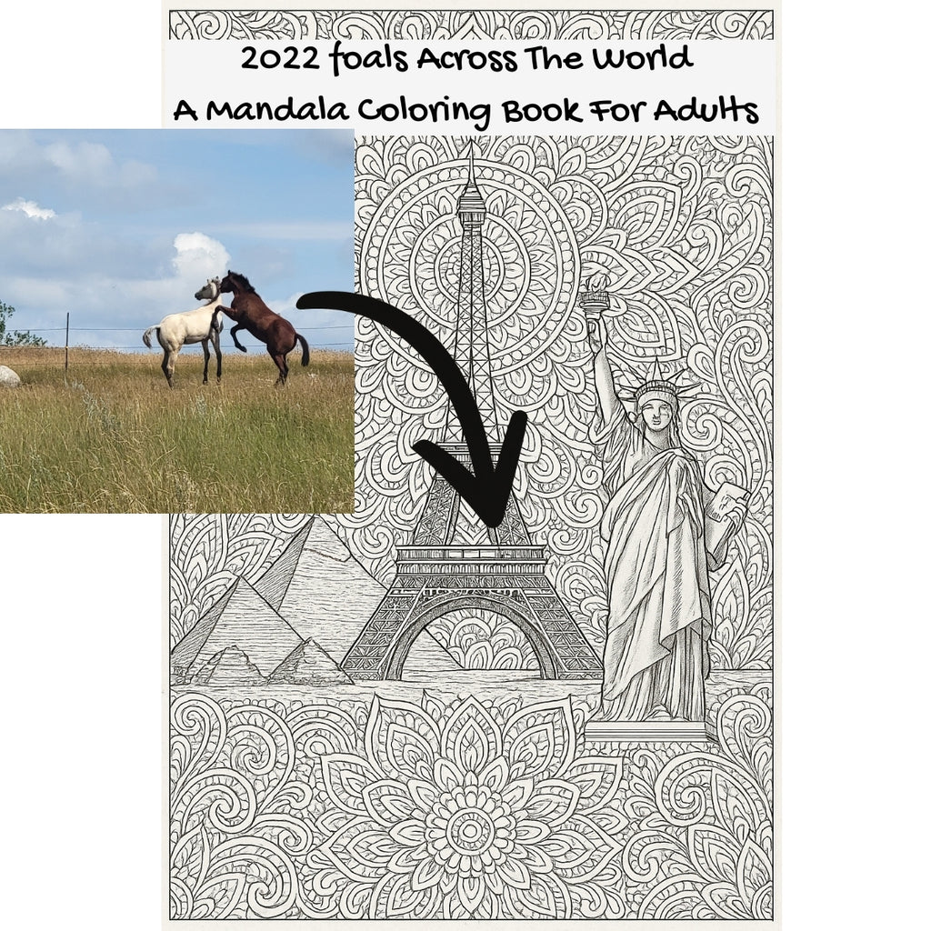 2022 foals Across The World: A Mandala Coloring Book For Adults