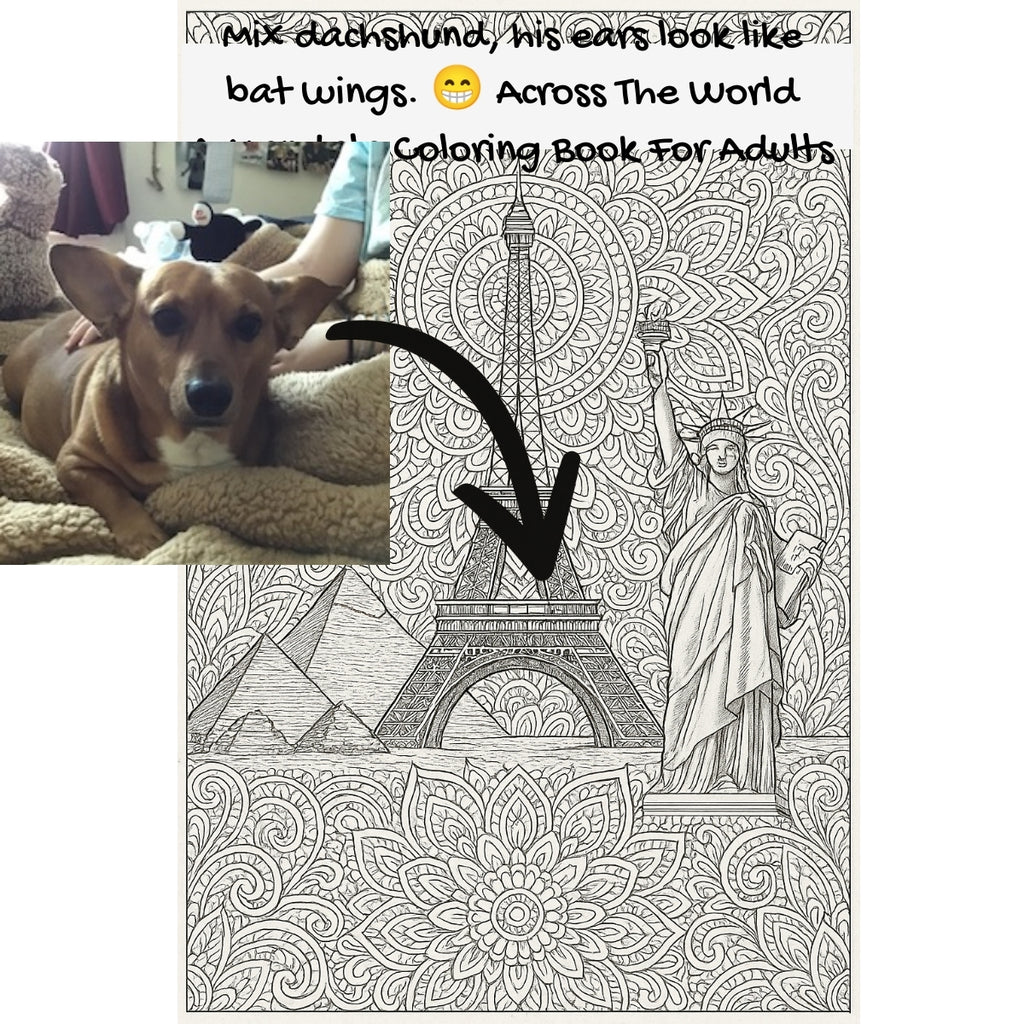 Mix dachshund, his ears look like bat wings. 😁 Across The World: A Mandala Coloring Book For Adults