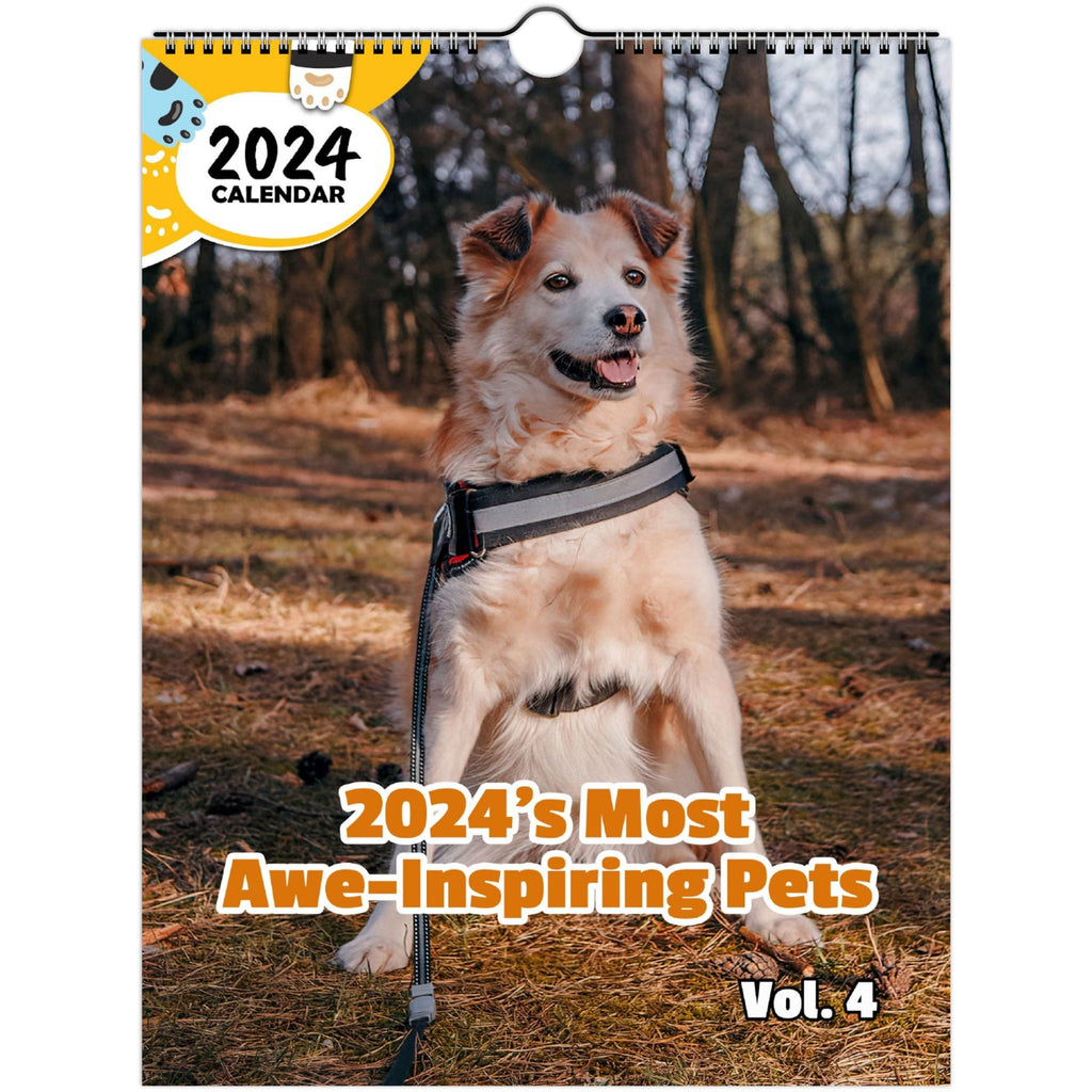 2024's Most Awe-Inspiring Pets Volume Four: 2024 Wall Calendar (Published)